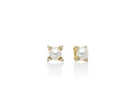 Orecchini Miluna Donna PERLE 375 in Oro Perla PER2724X